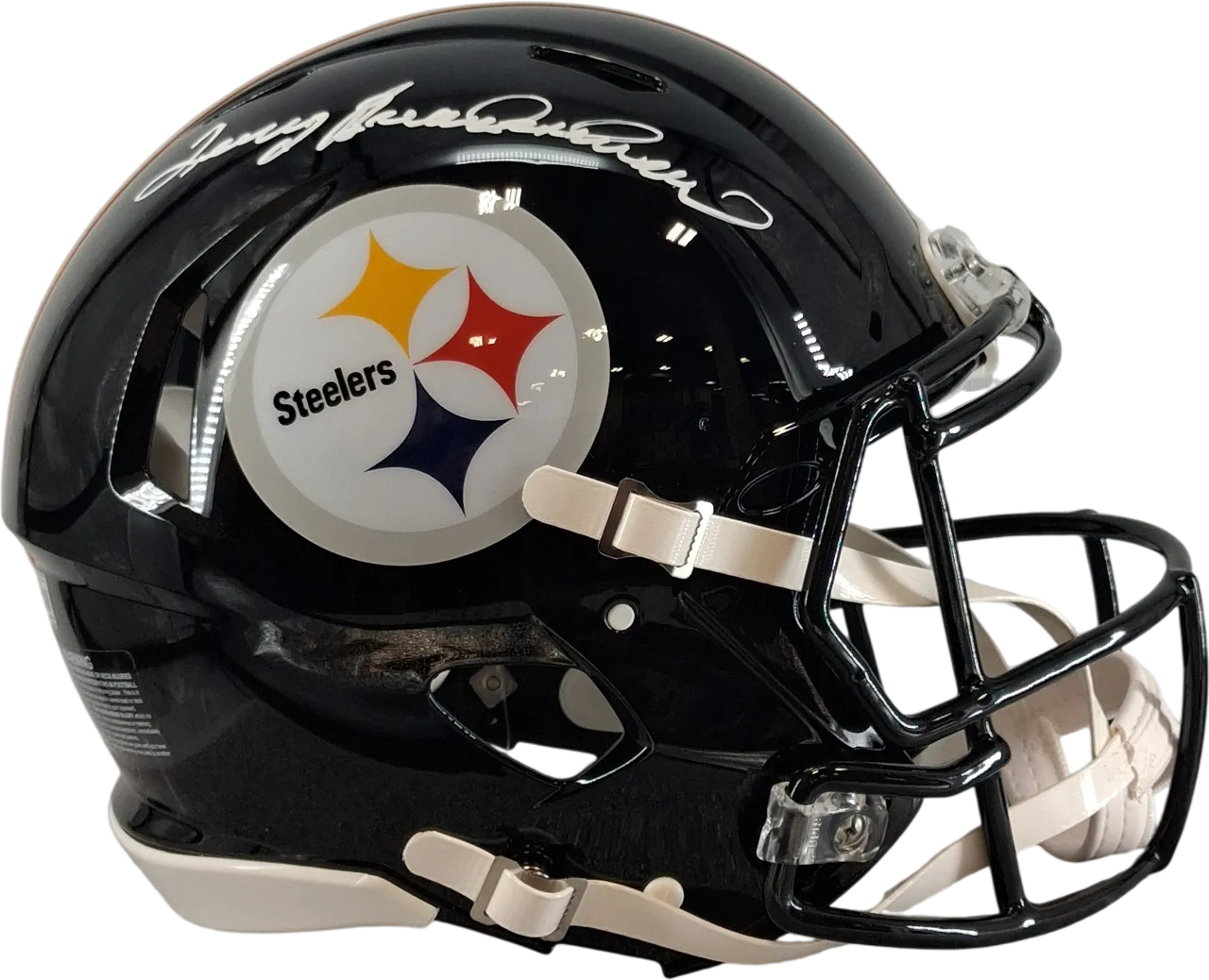 Terry Bradshaw's Authentic Helmet