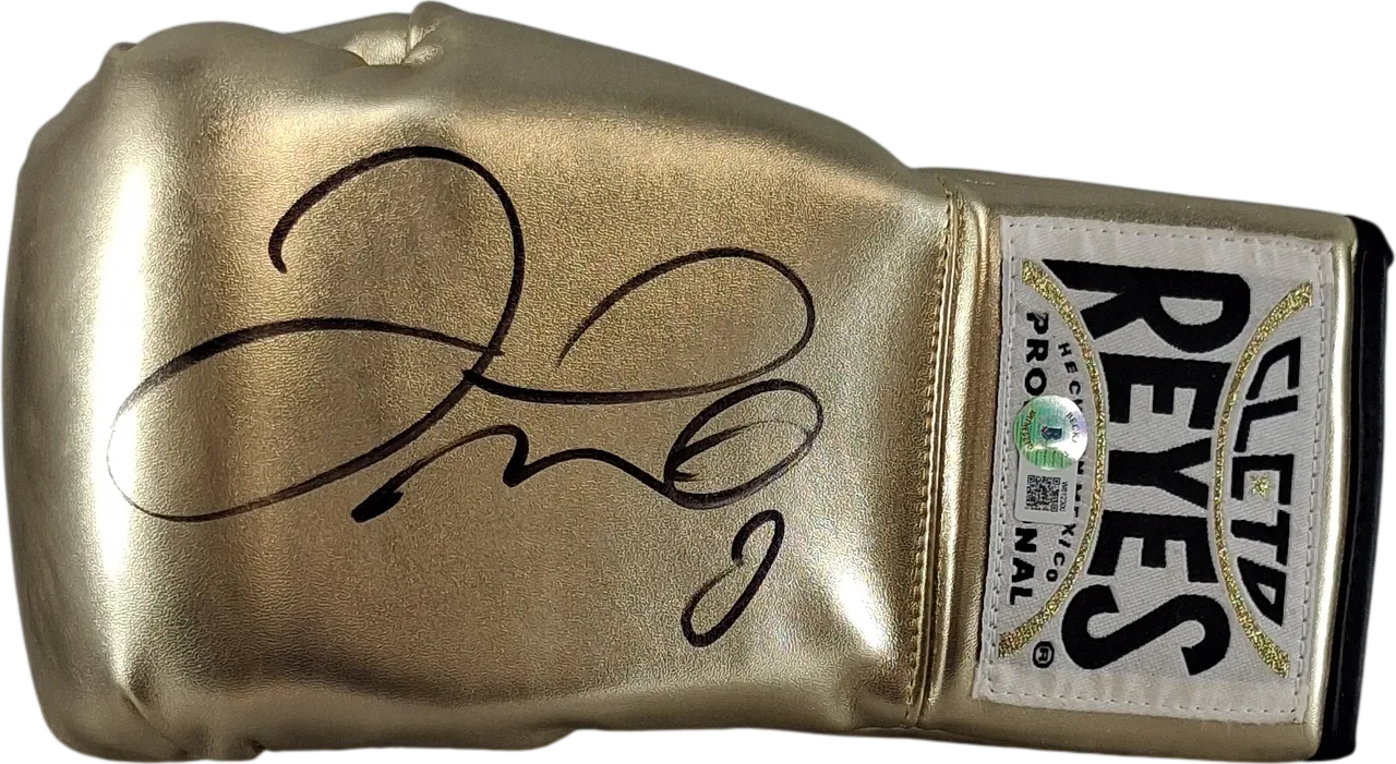 Floyd Mayweather's Glove