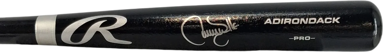 Larry Walker Bat